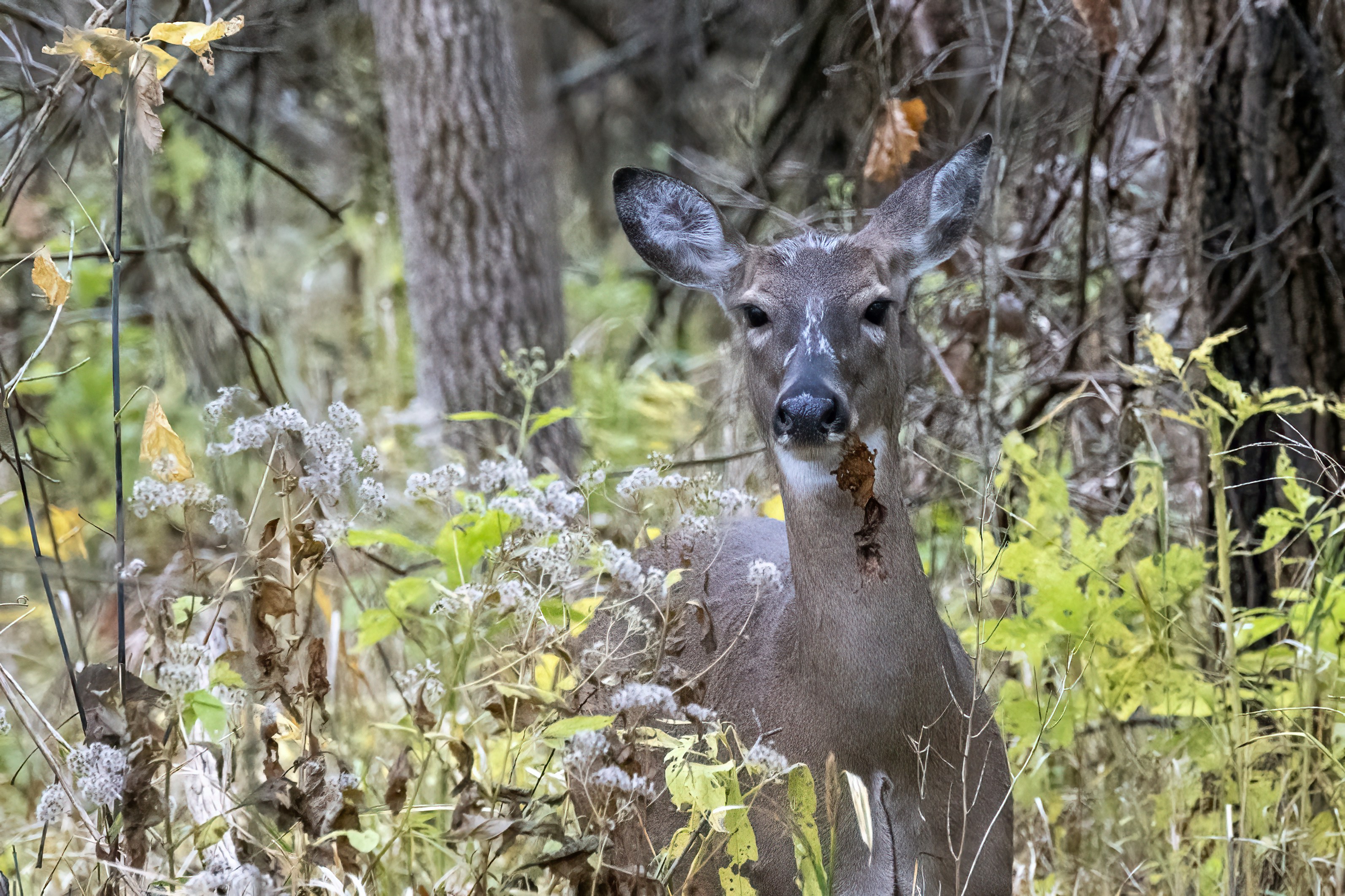 Photo by cholewinski