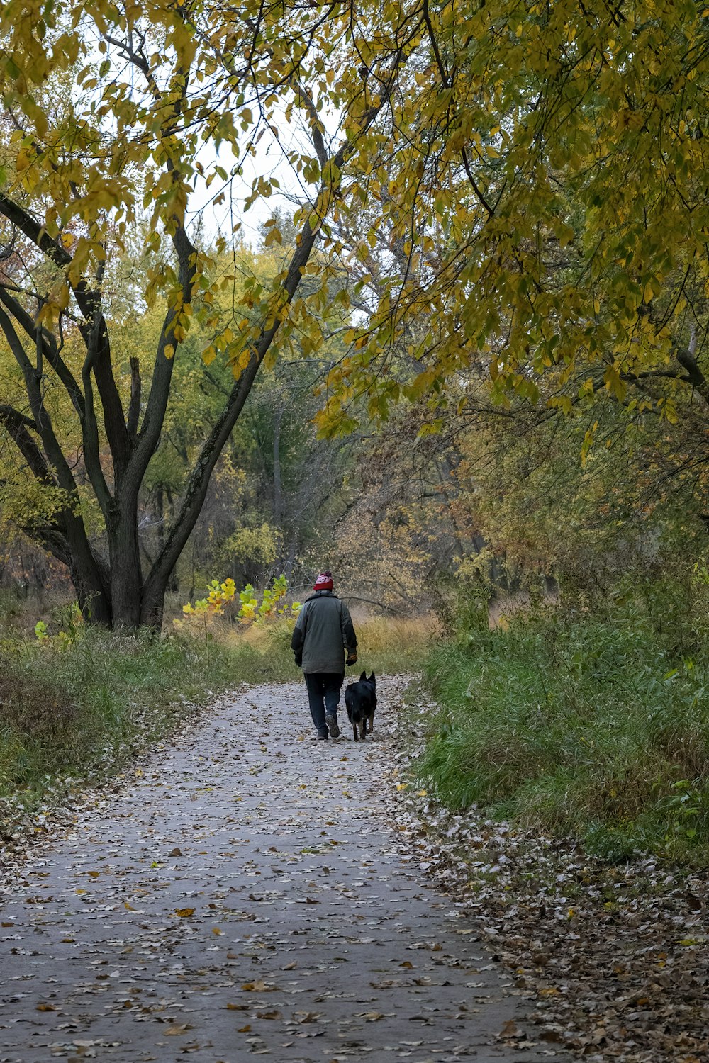 hombre con chaqueta negra caminando por el camino entre los árboles durante el día