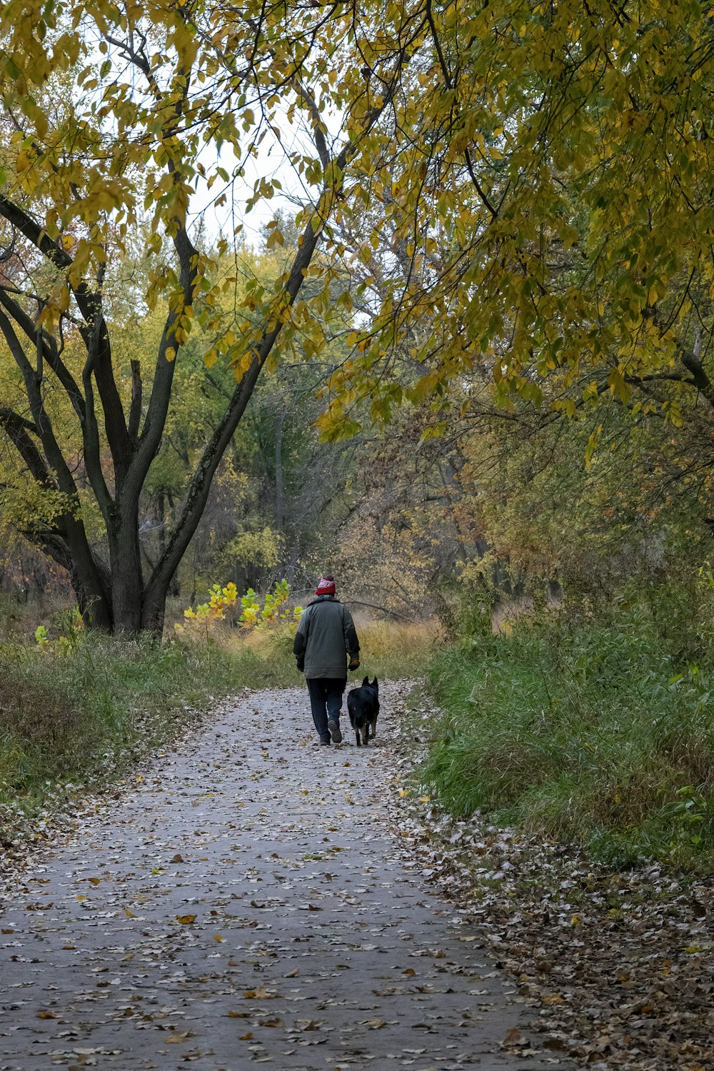 man in black jacket walking on pathway between trees during daytime