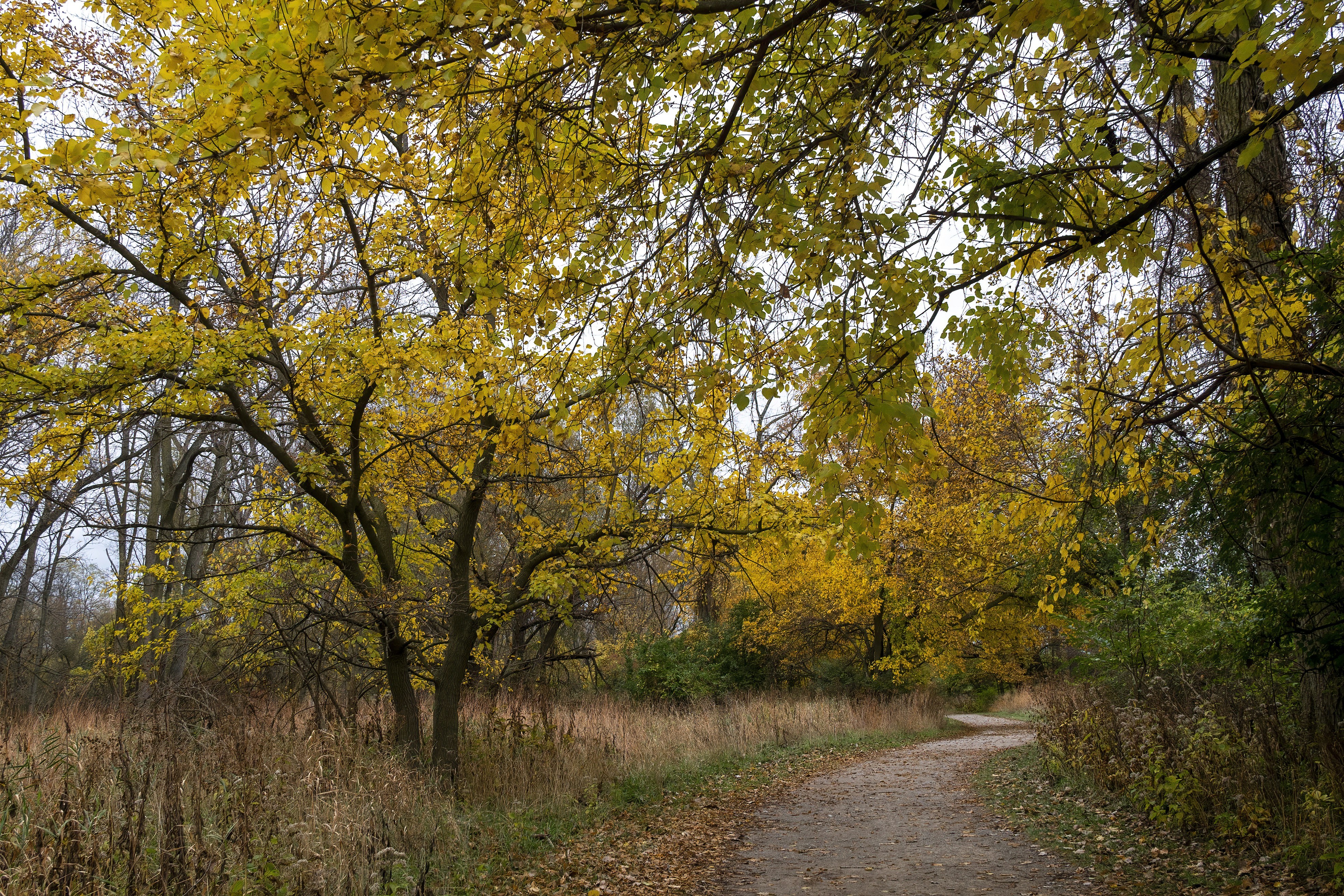 Photo by cholewinski