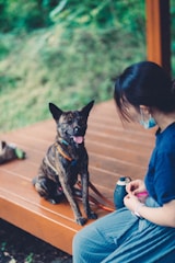 A woman wearing a mask is sitting on a wooden platform with a small, brindle dog sitting beside her. The dog looks towards the camera with its tongue out, appearing happy. The background is blurred with greenery, suggesting an outdoor setting.