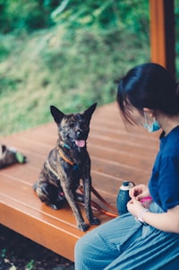 A woman wearing a mask is sitting on a wooden platform with a small, brindle dog sitting beside her. The dog looks towards the camera with its tongue out, appearing happy. The background is blurred with greenery, suggesting an outdoor setting.