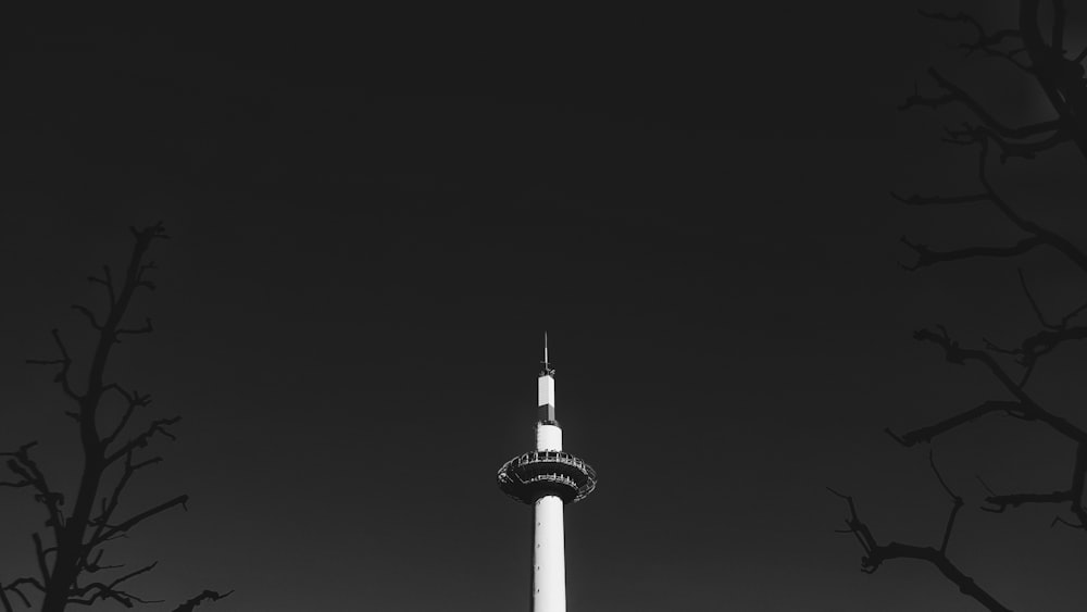 夜間の白と黒の塔