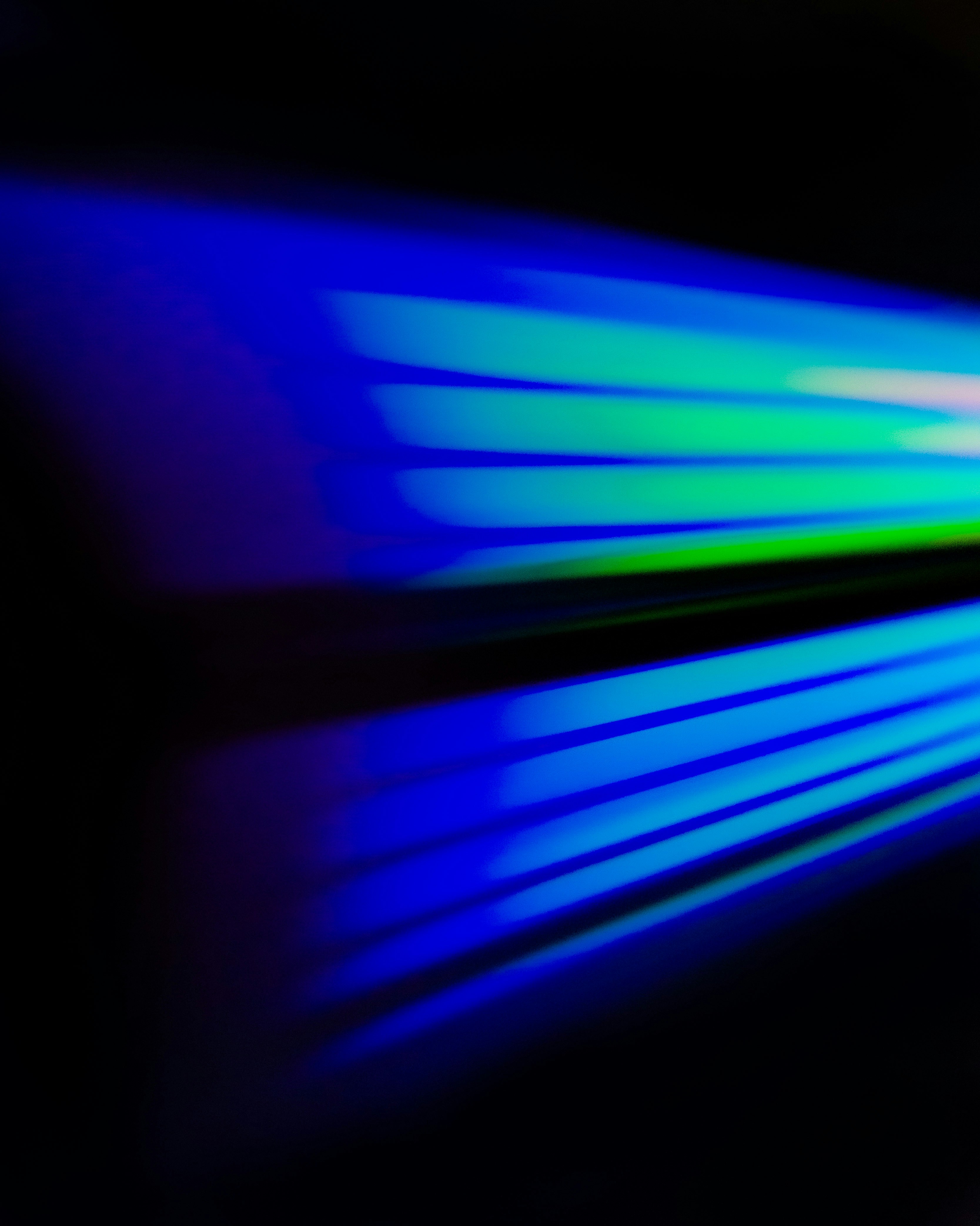 Photo by claoudtrees