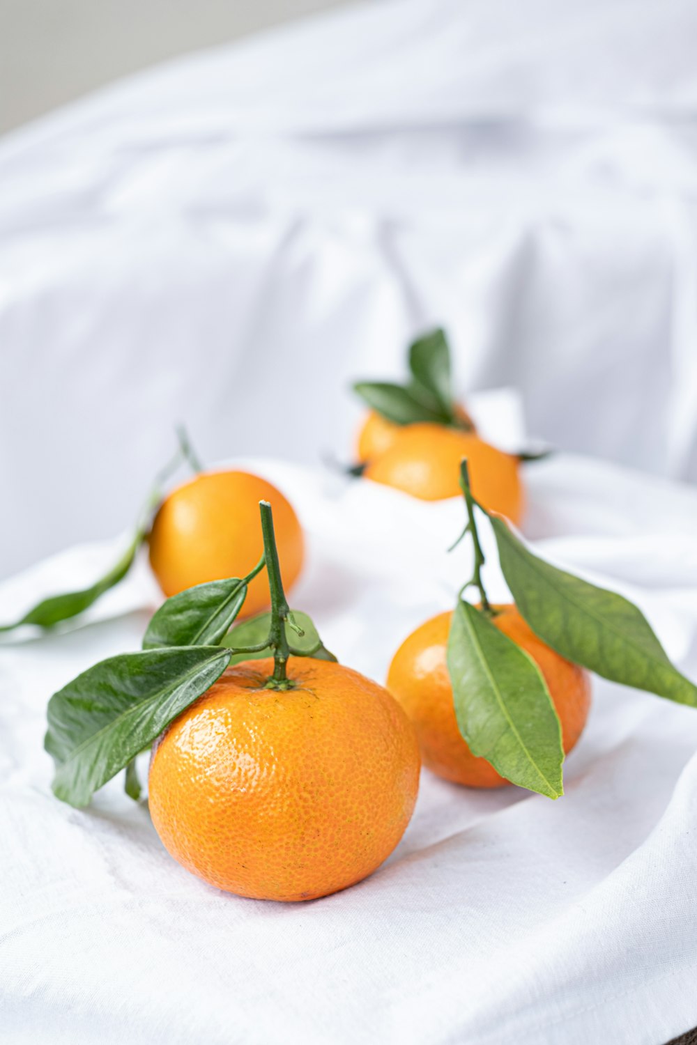 Fruit orange sur textile blanc