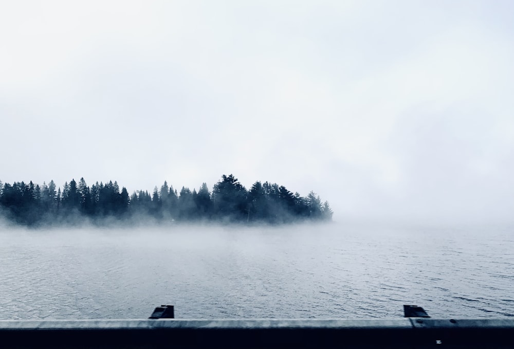 person sitting on wooden dock over the sea