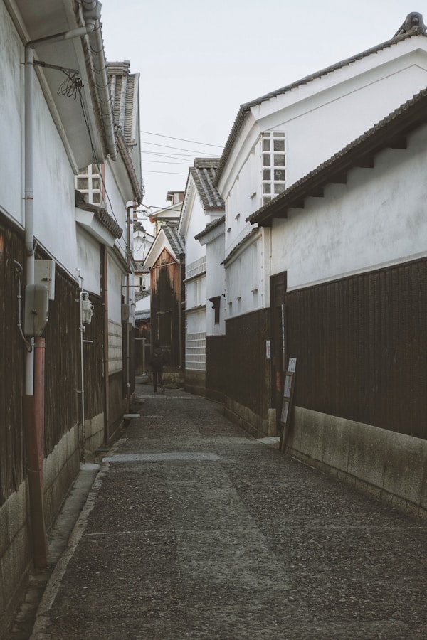 Best Time to Visit Okayama: Weather Guide by Month