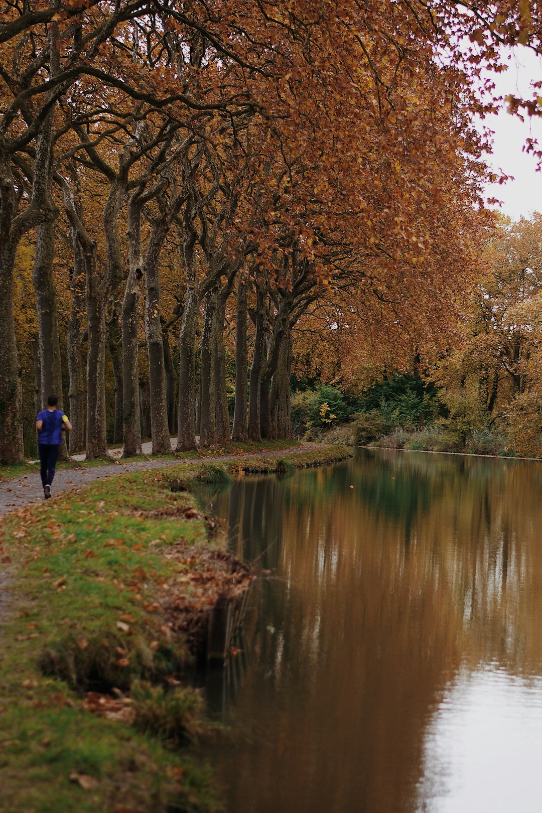 person in blue jacket walking on pathway near river during daytime