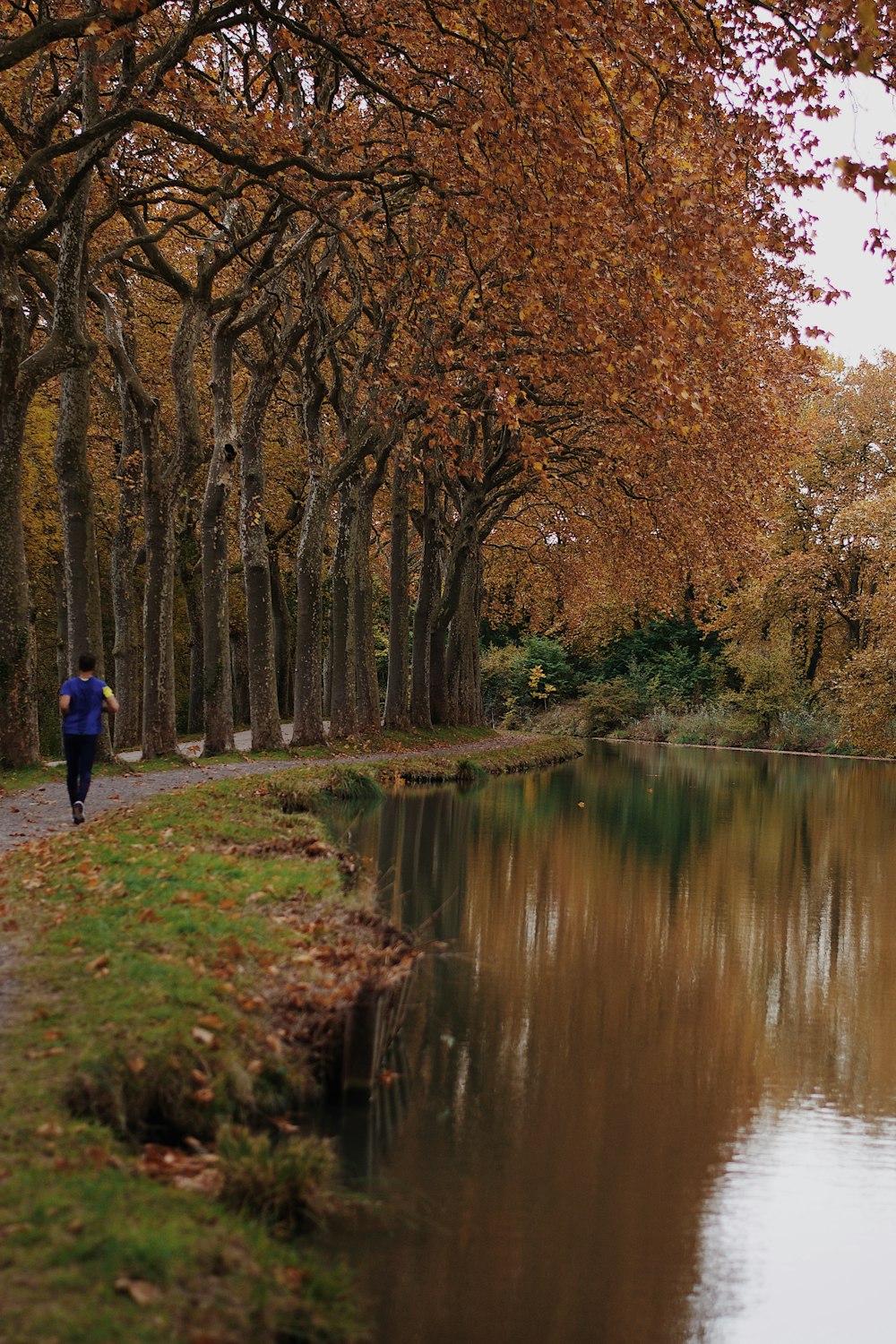 person in blue jacket walking on pathway near river during daytime