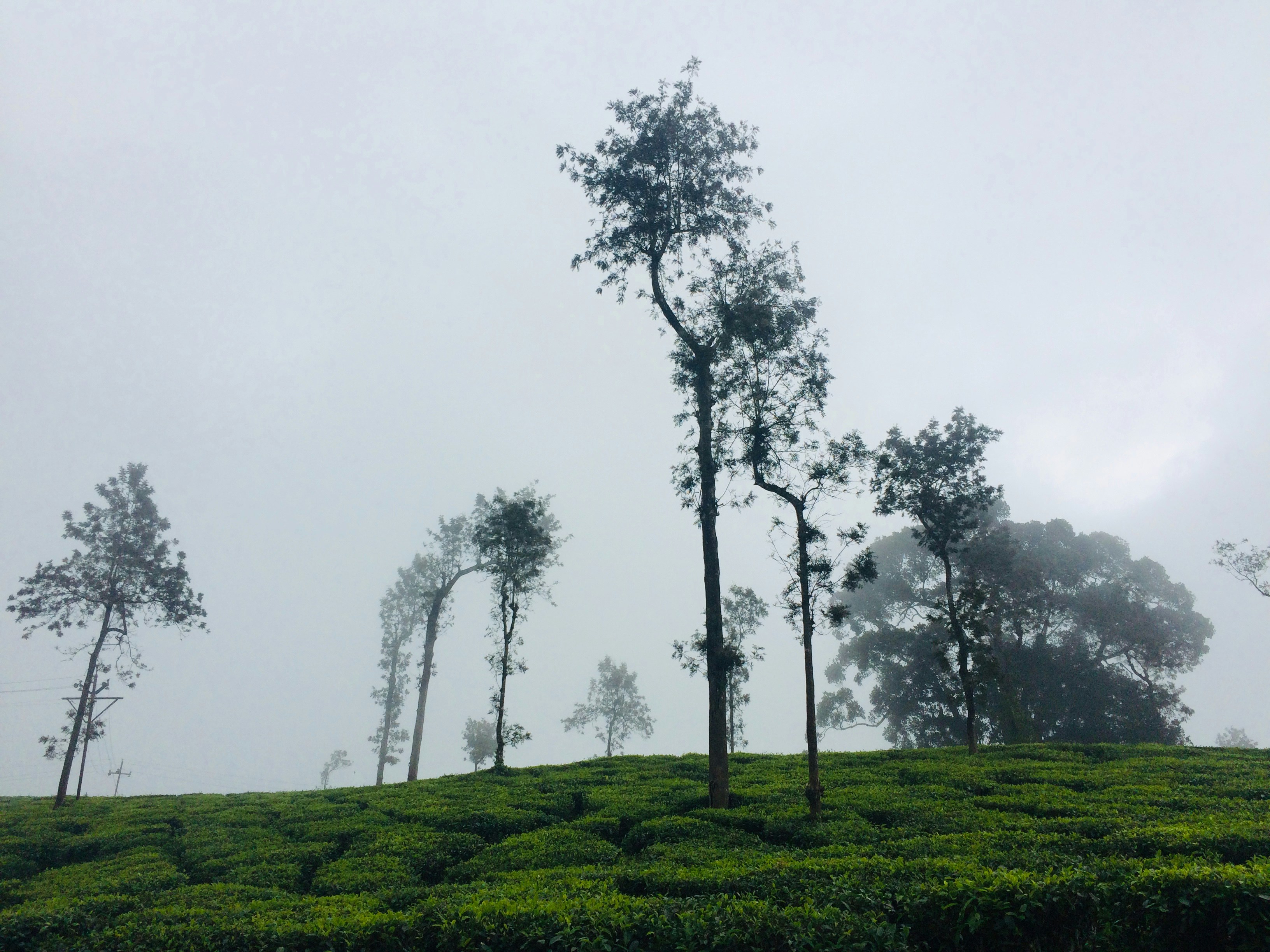 Photo by leshma_deepak