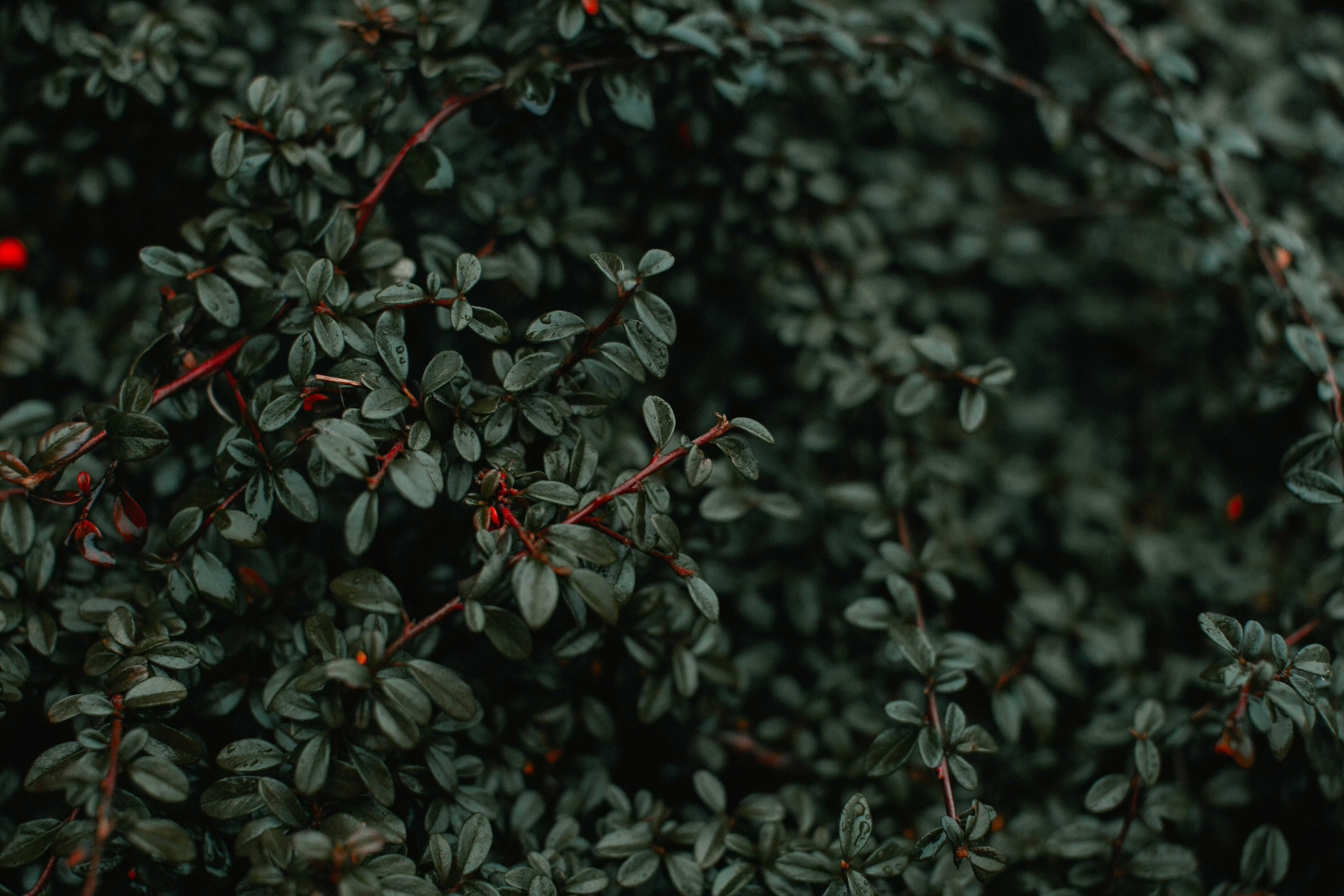 Photo by theshuttervision