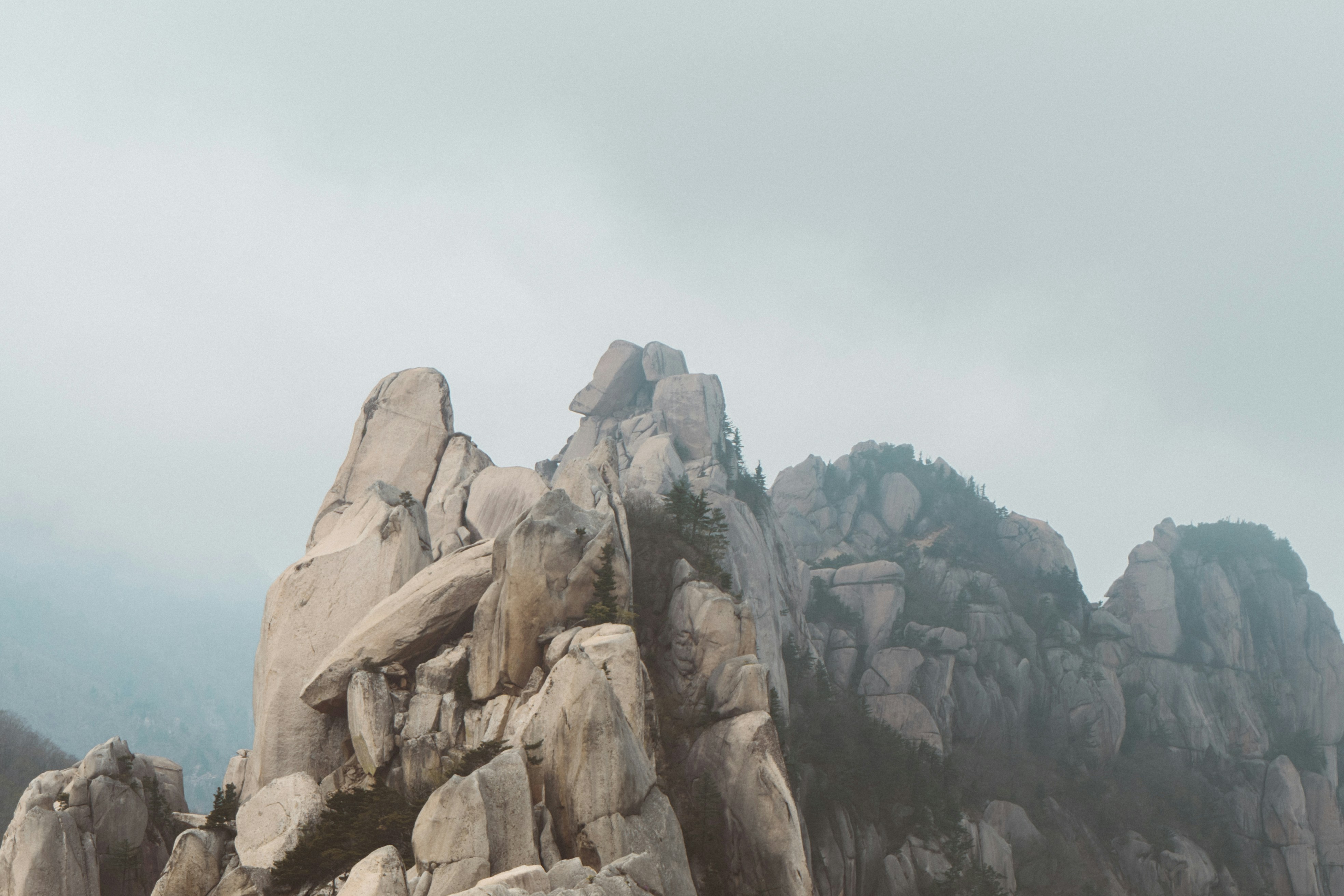 Photo by nicolasjleclercq