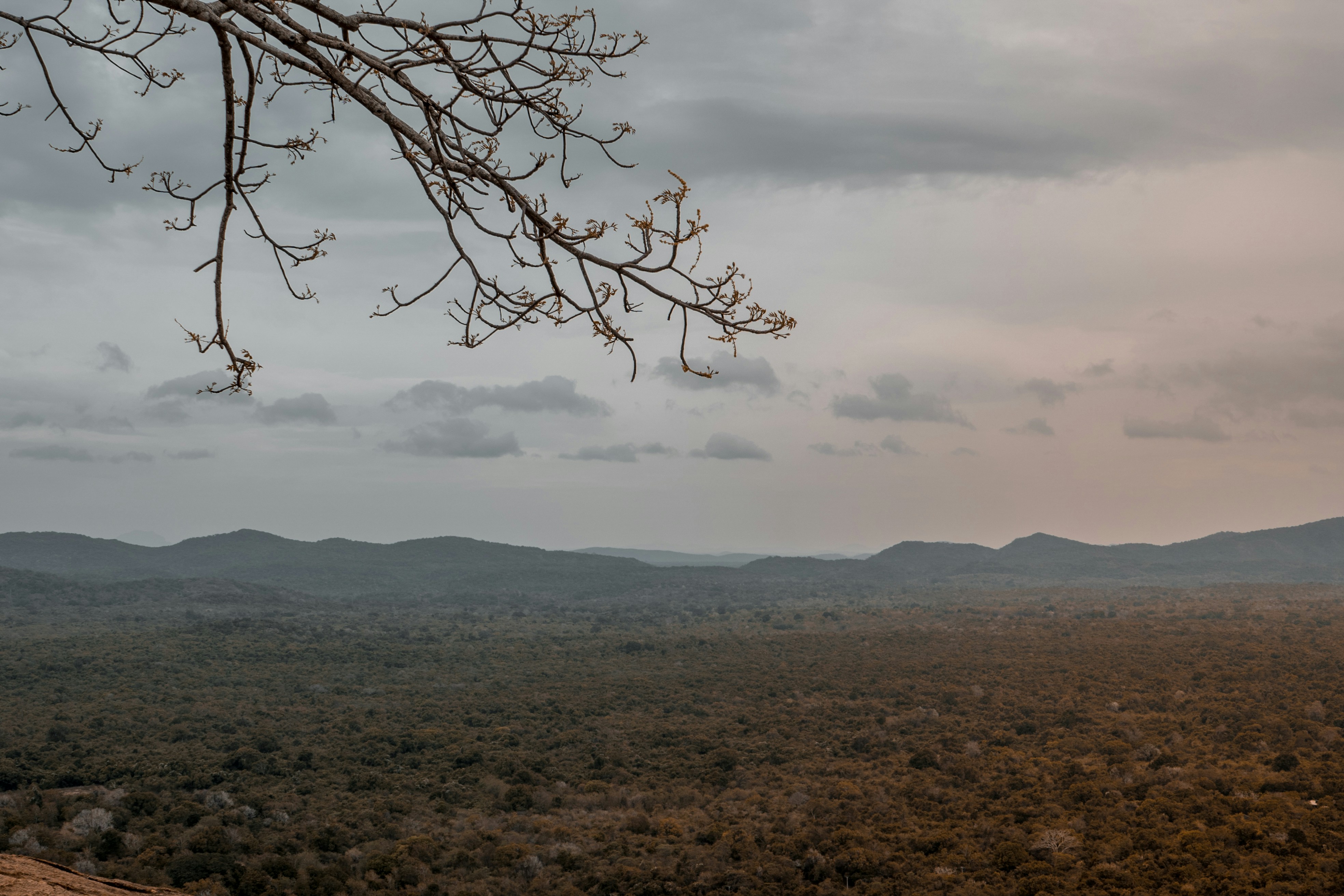 Photo by nicolasjleclercq