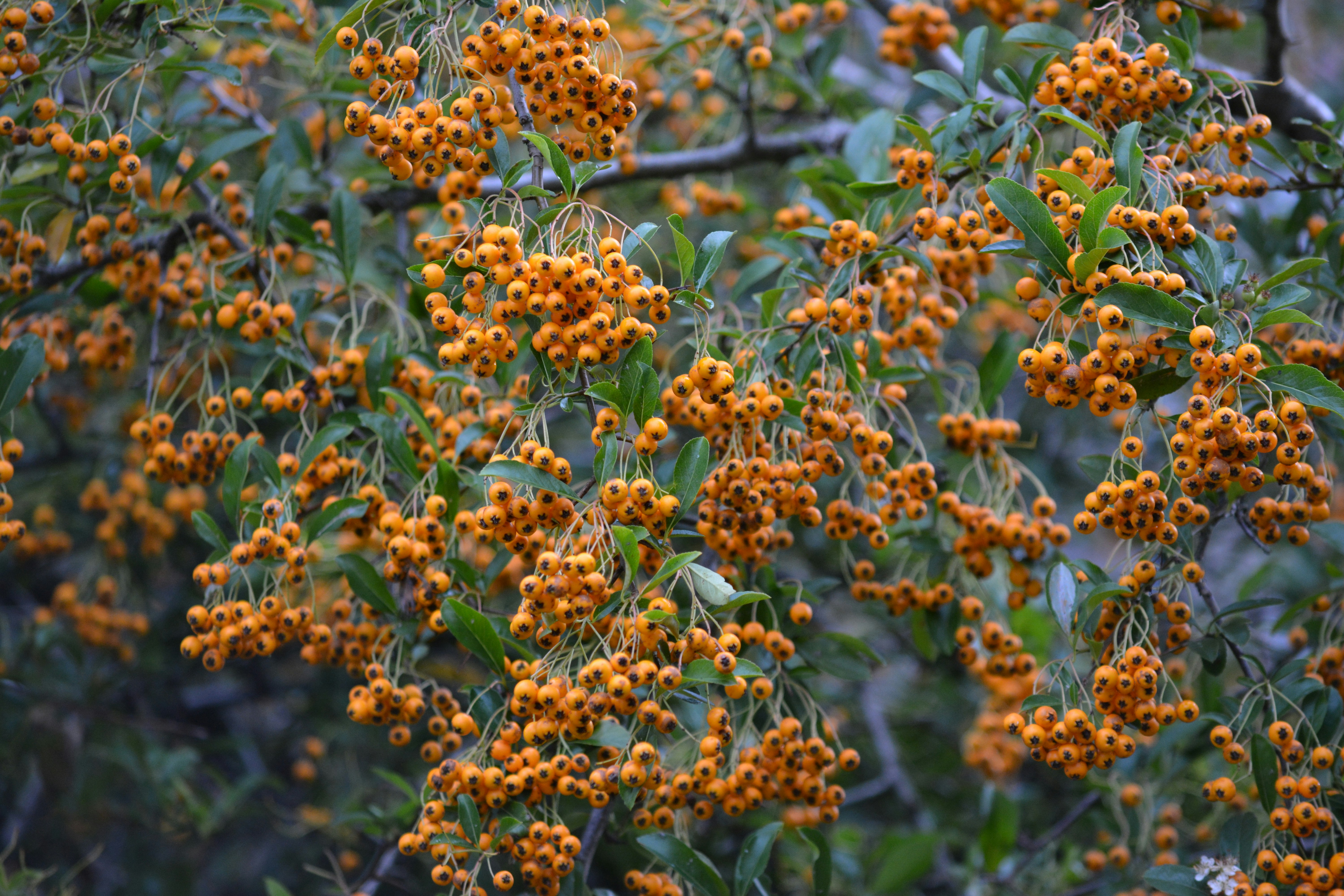 Photo by natashaguryanova