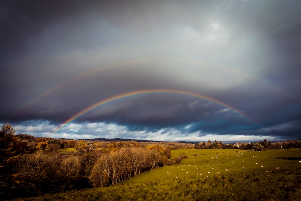 rainbow over green grass field