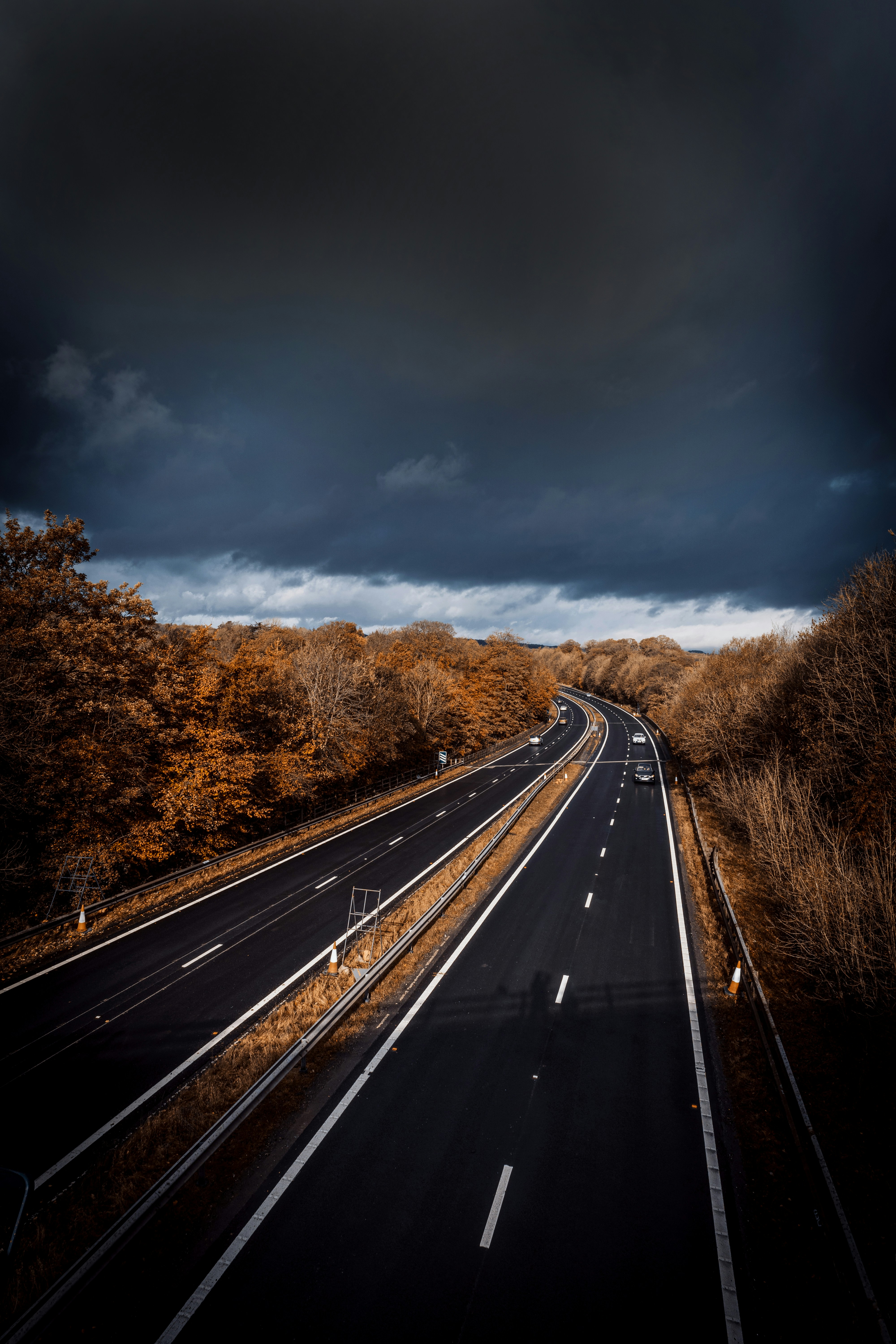 gray concrete road between brown trees under gray sky