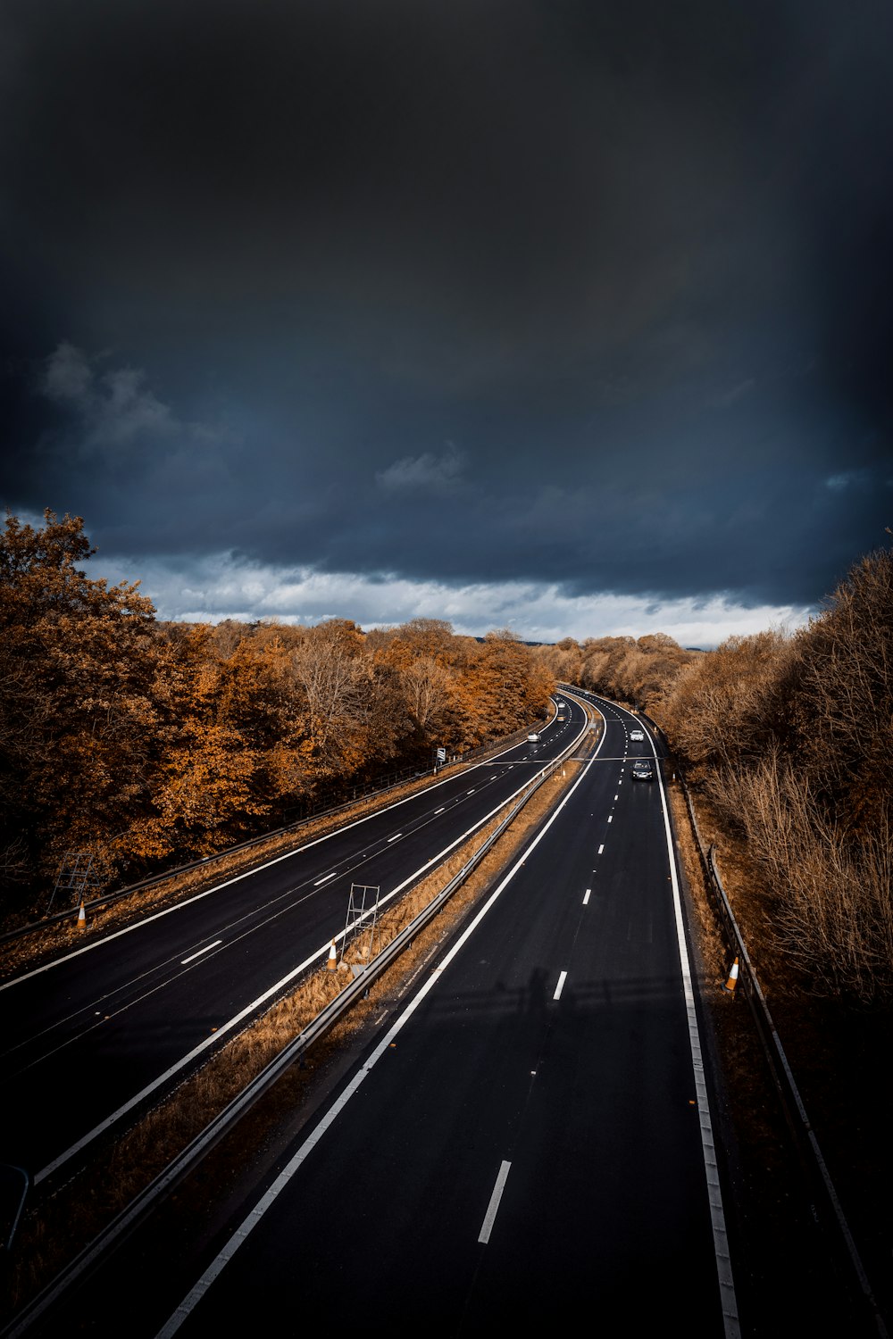 gray concrete road between brown trees under gray sky