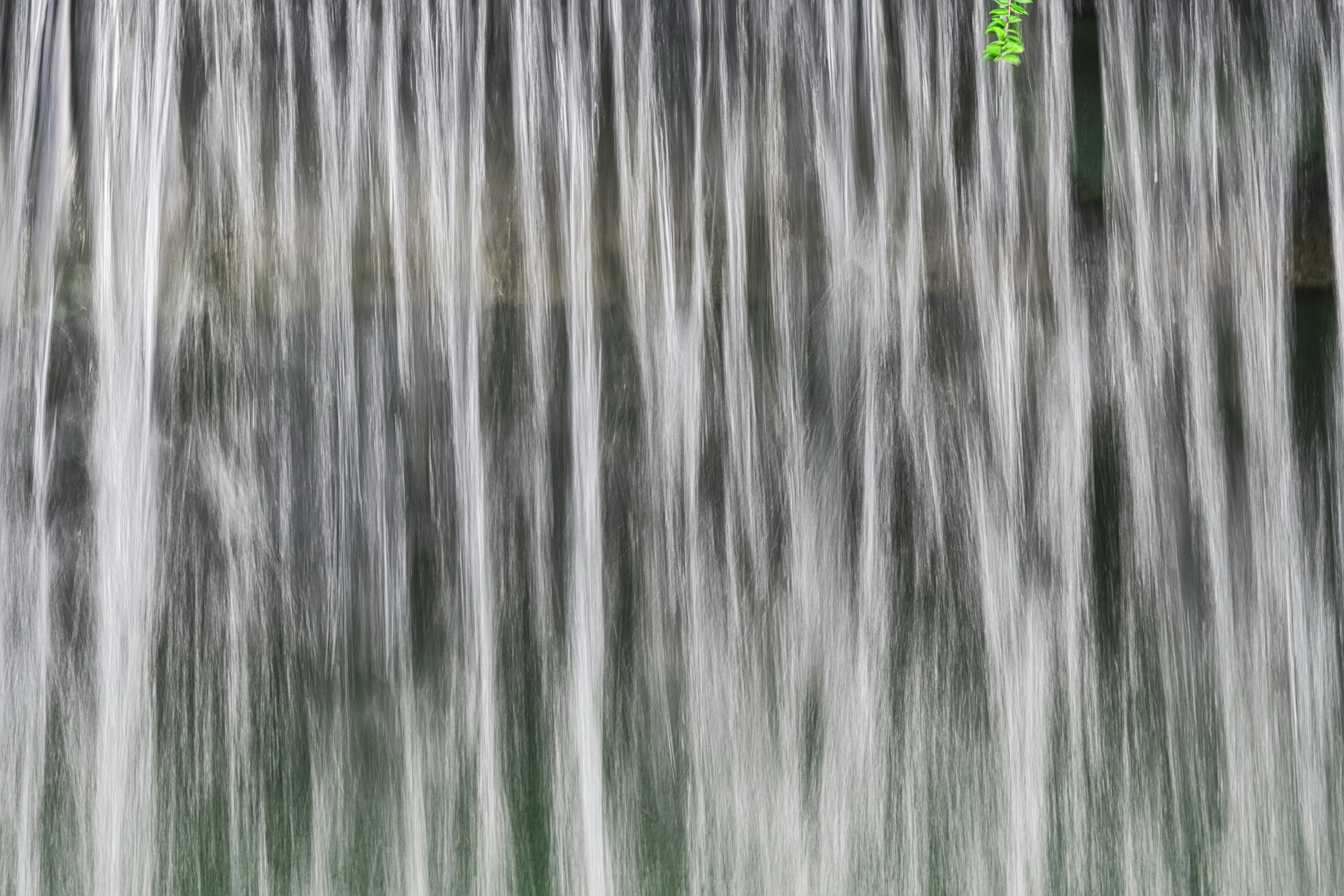 Photo by thomaskinto