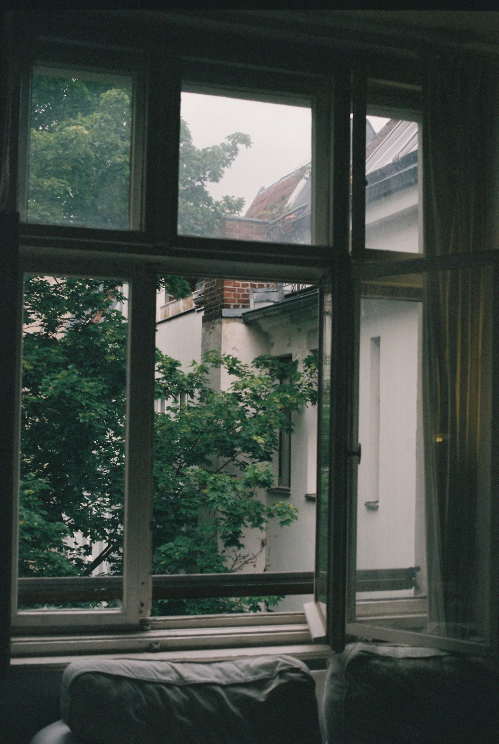 green plant on window during daytime