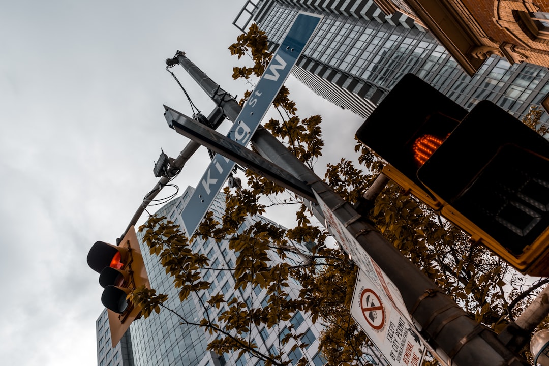 gray metal street light during daytime