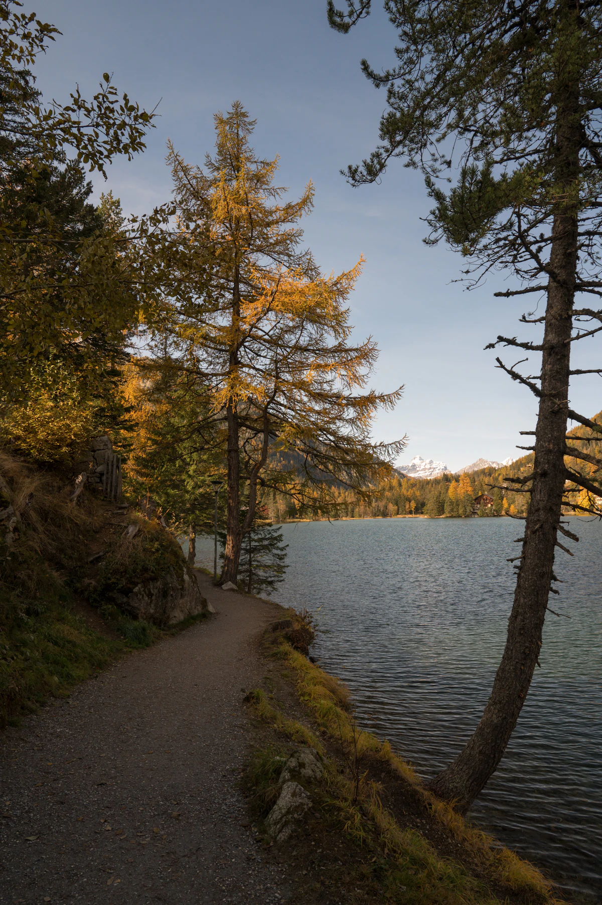 A lakeside path at Champex-Lac under autumn larches, with snowy peaks in the distance