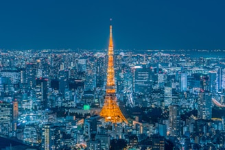 eiffel tower in paris during night time