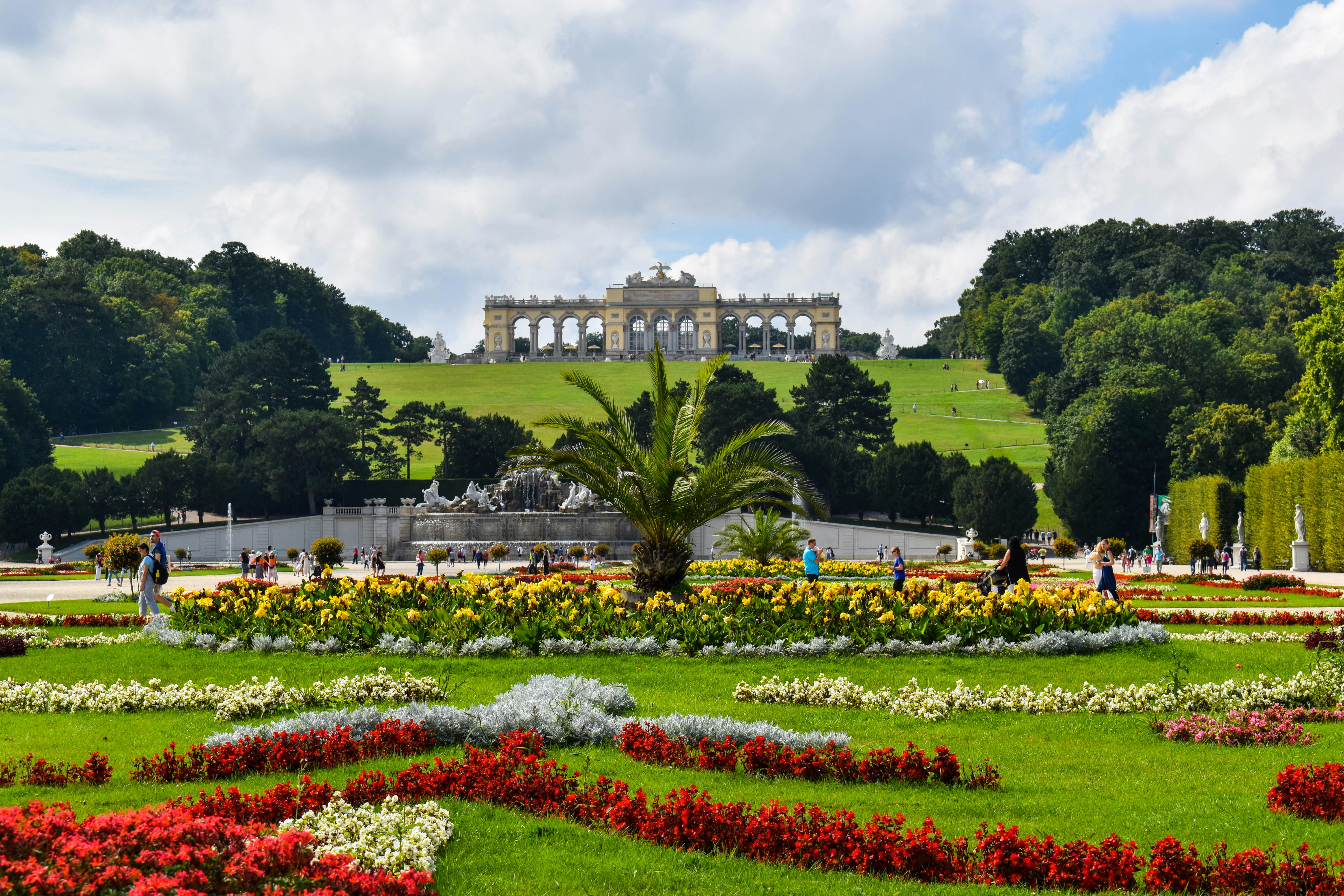 red and yellow flower field near green trees and white concrete building during daytime österreich teams background