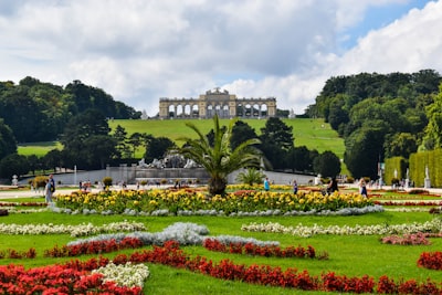 red and yellow flower field near green trees and white concrete building during daytime österreich teams background