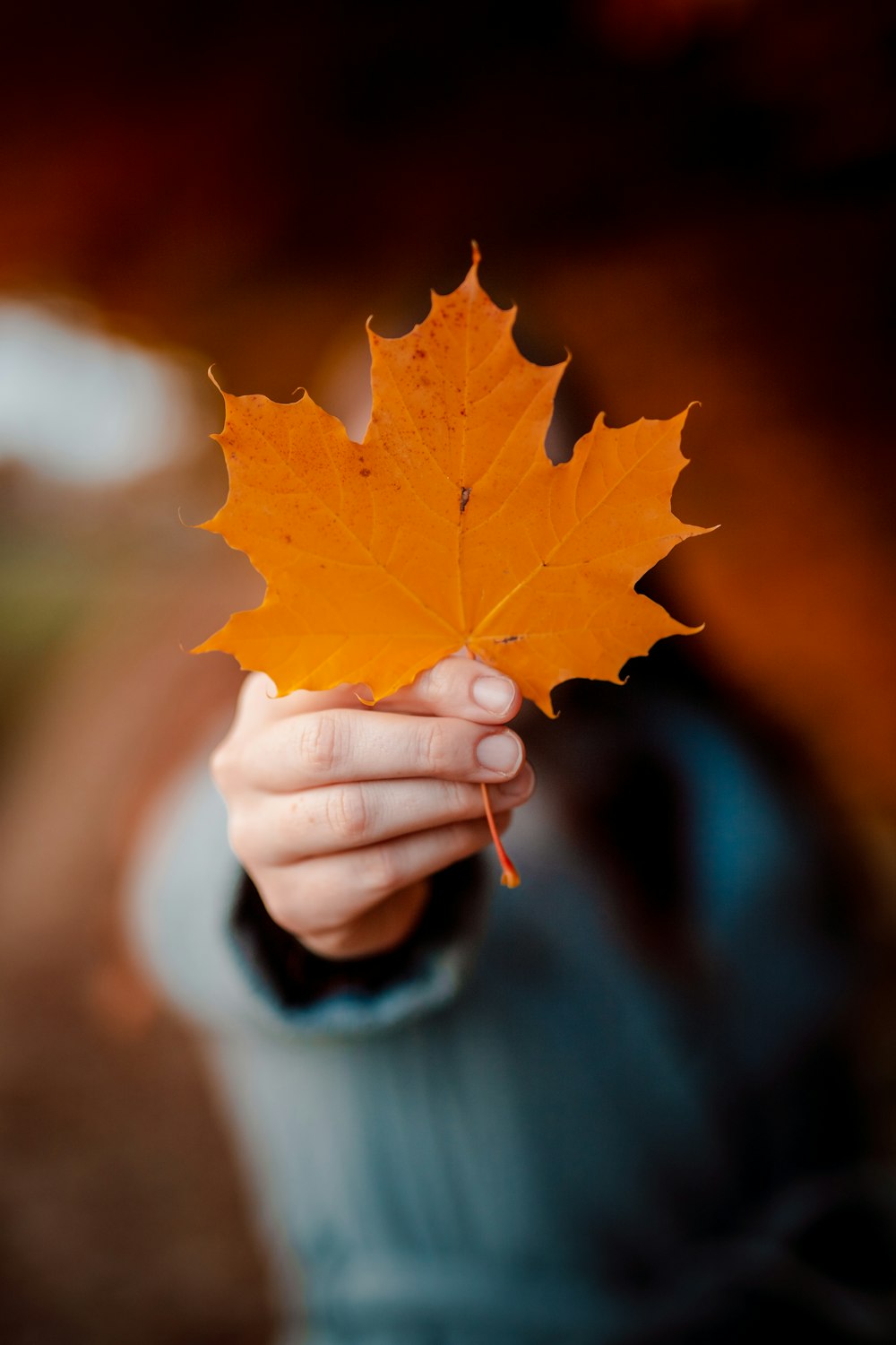 person holding orange maple leaf