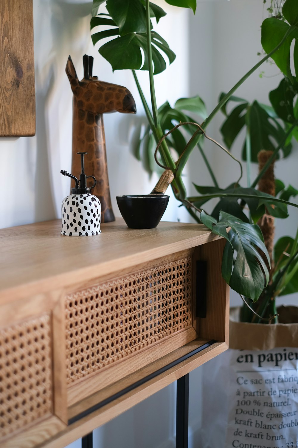 green plant on black pot on brown wooden table