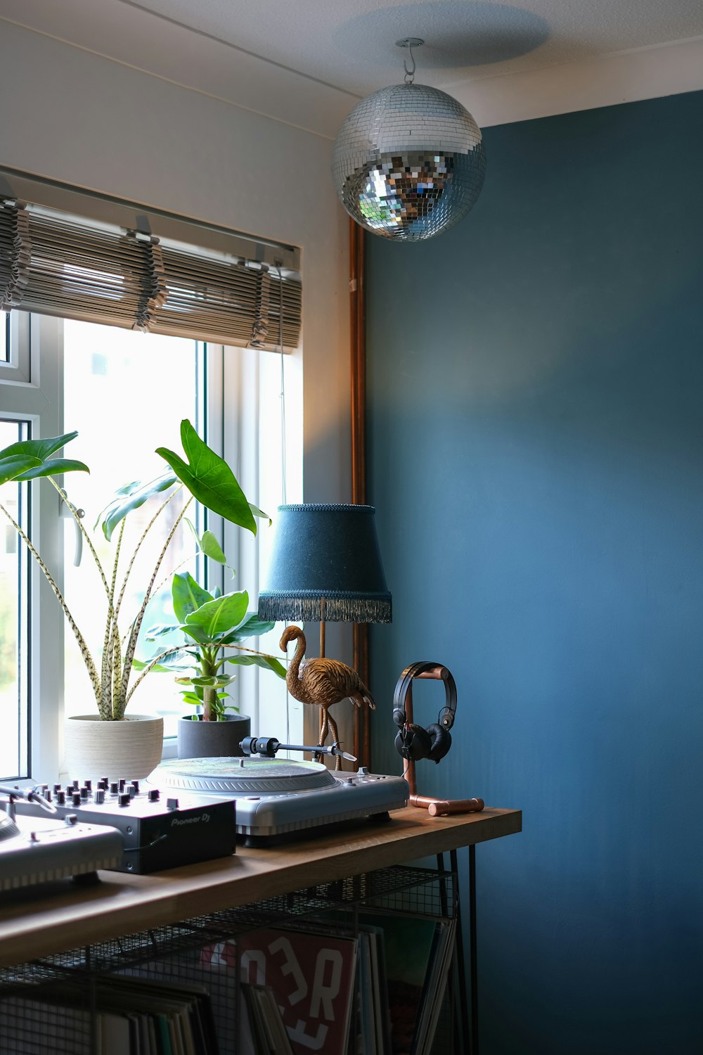 green potted plant on brown wooden desk