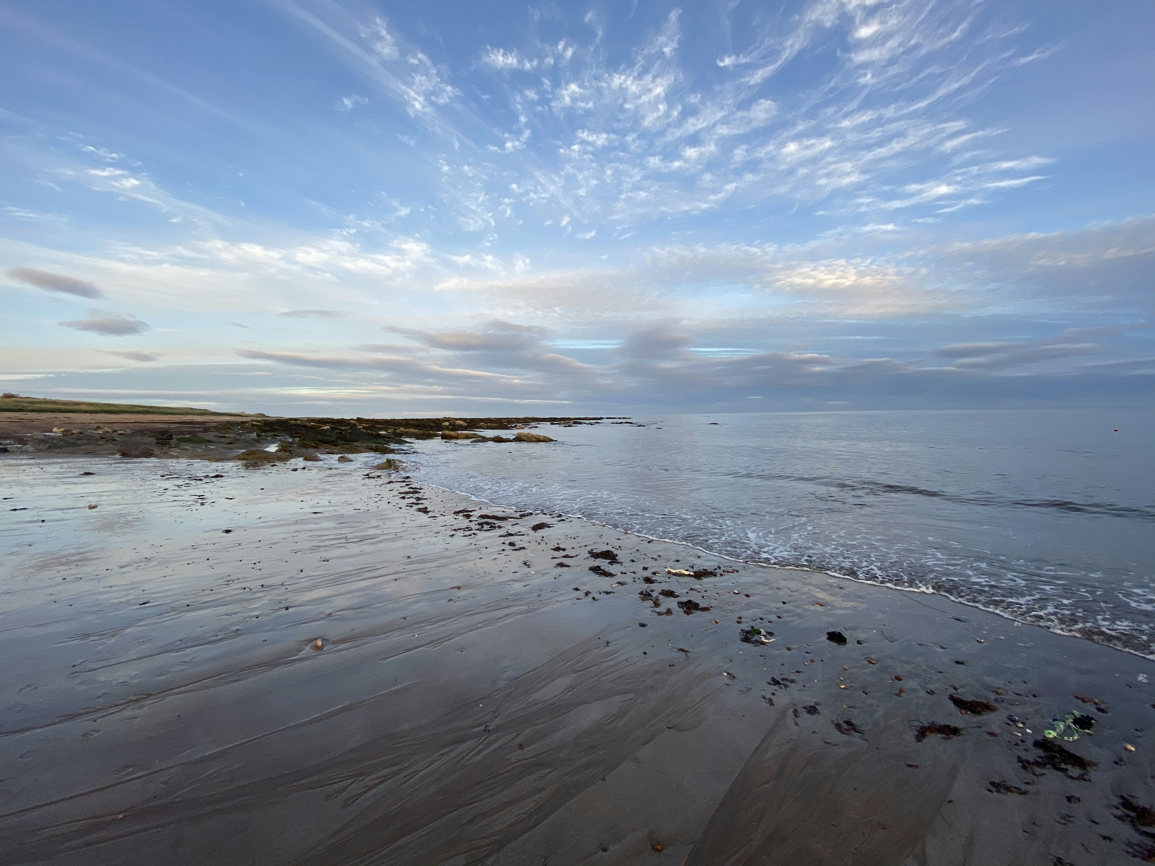 Photo by angelaphoenixupturn