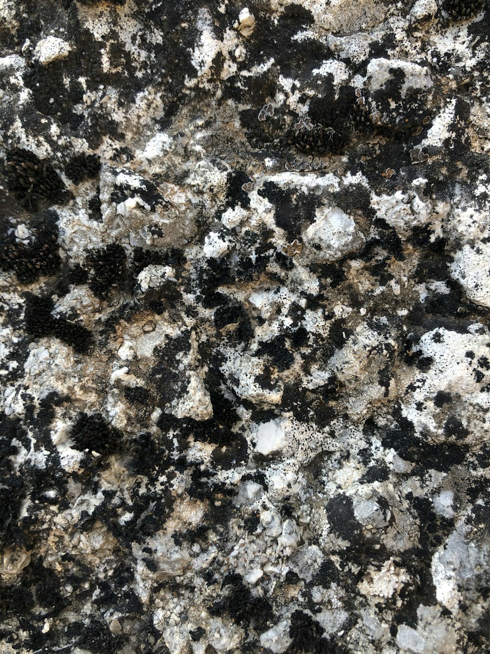 black and white stone fragments