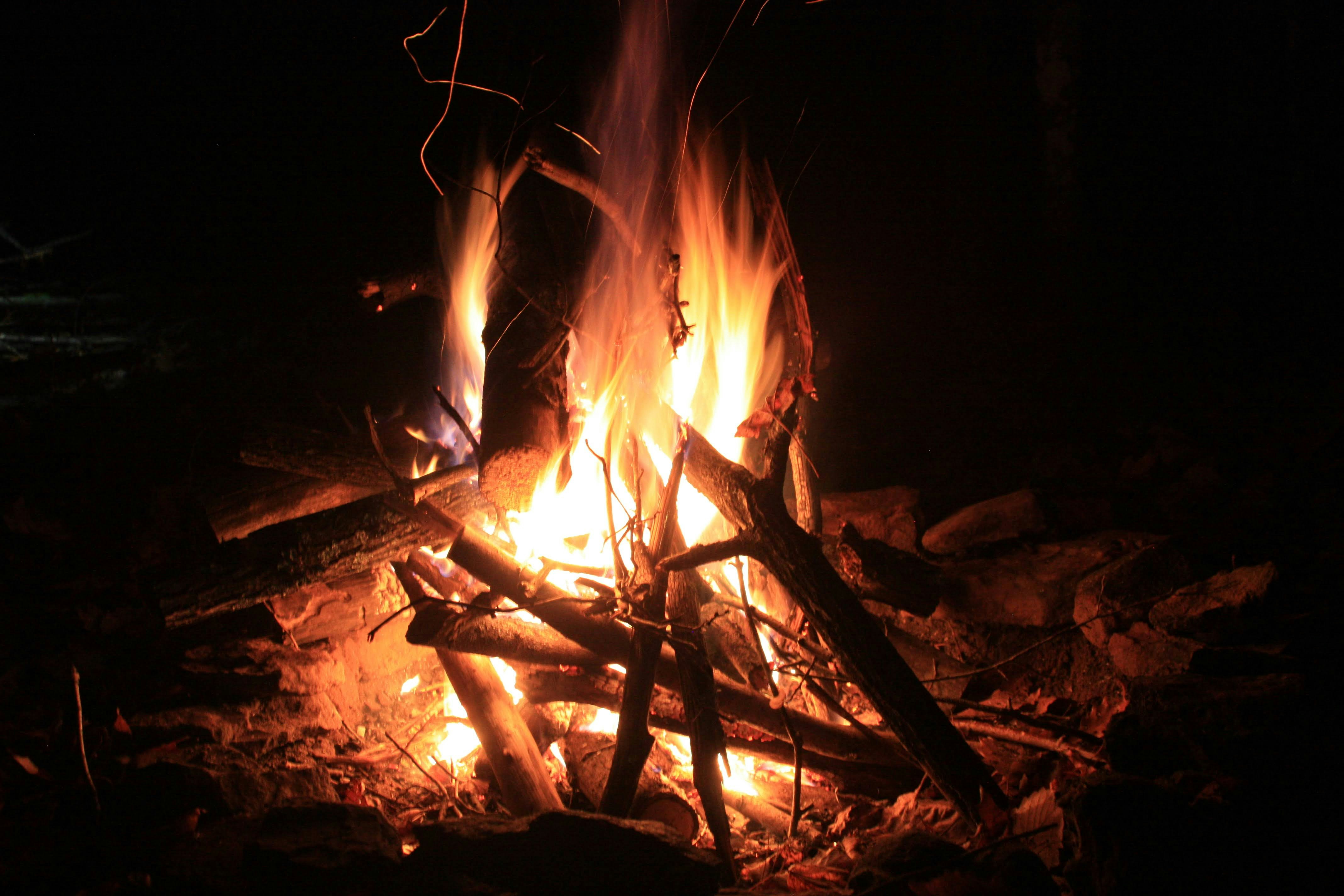 Photo by brice_cooper18