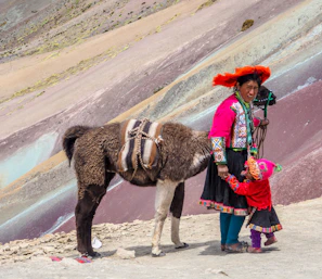 woman in red and blue dress riding brown horse during daytime