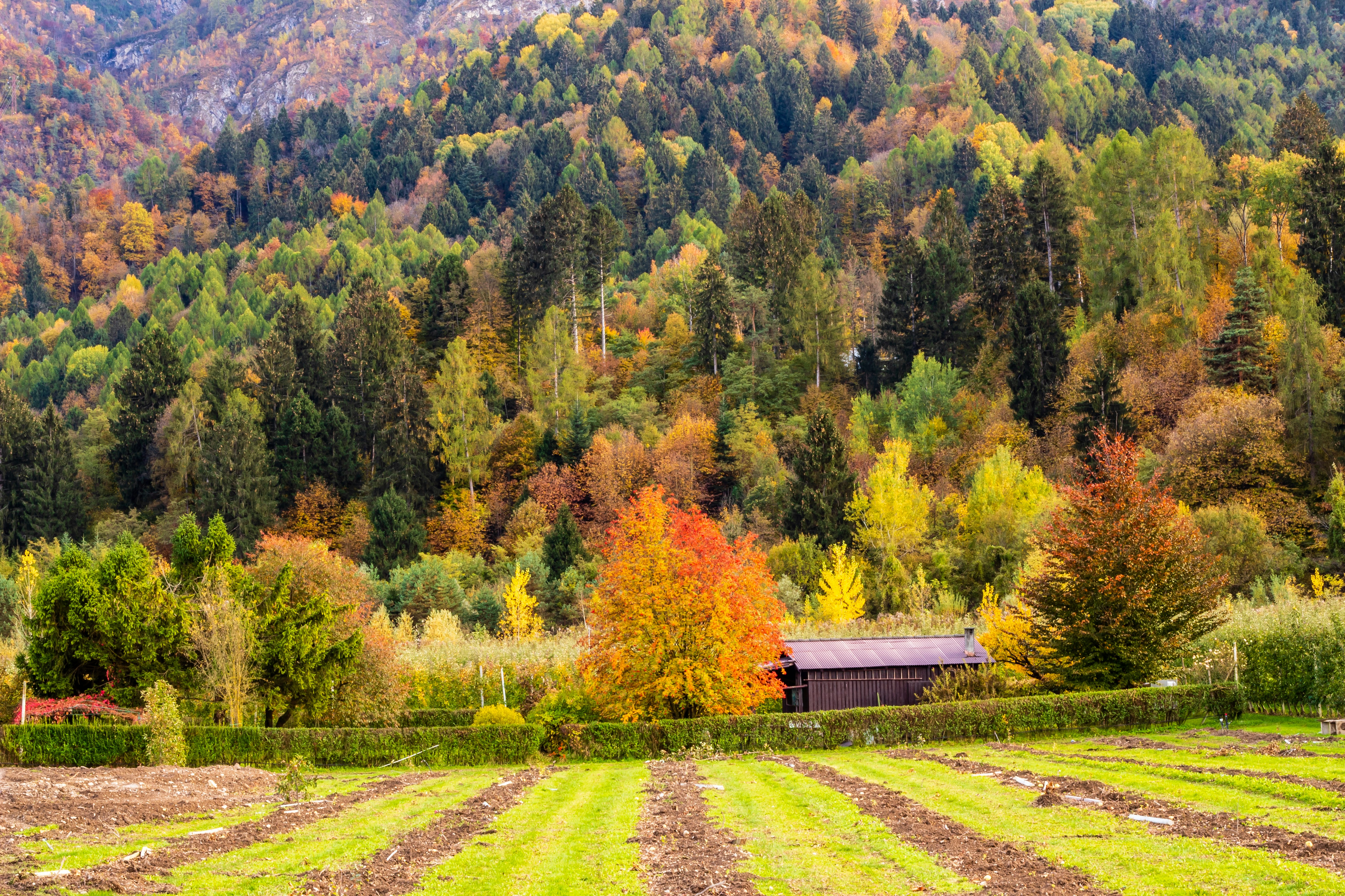 Photo by photoroutes