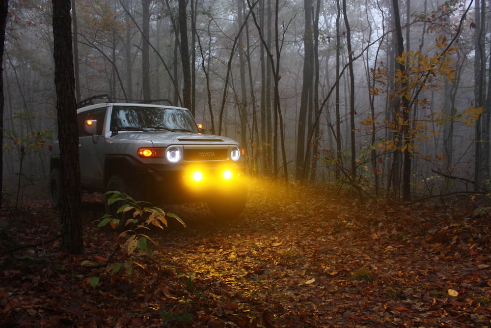 black car on road in between trees during daytime