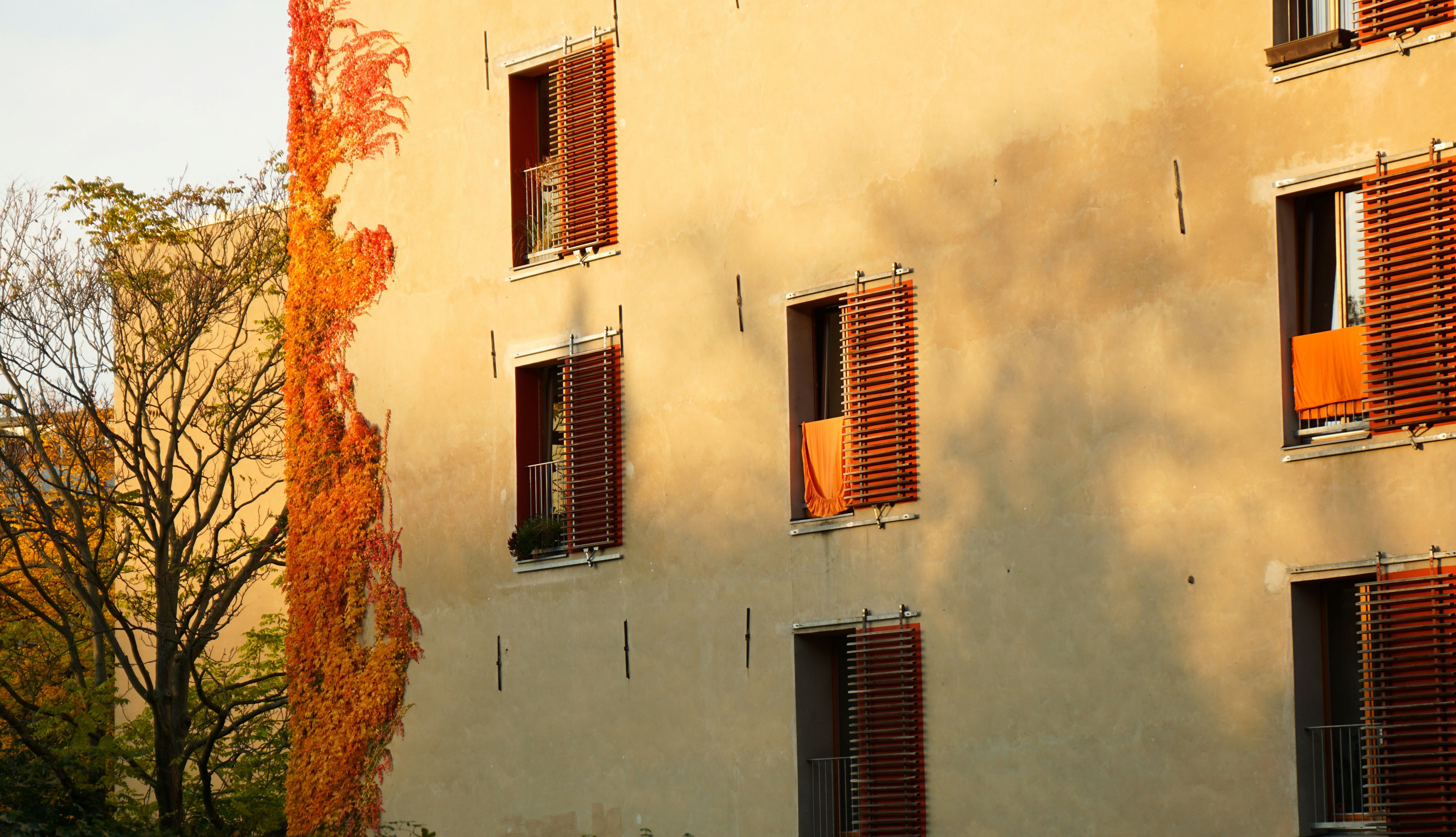 Photo by textstation