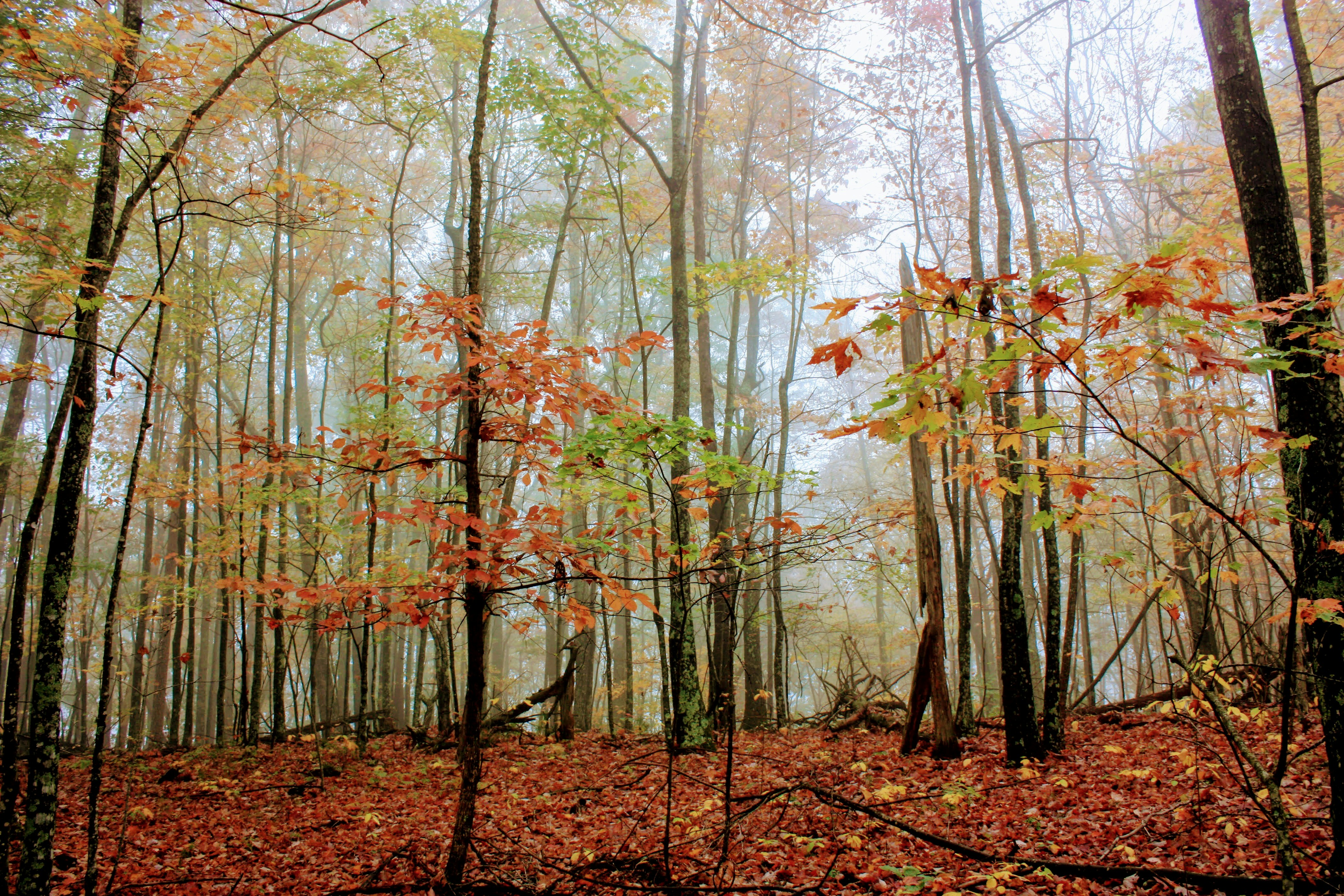 Photo by brice_cooper18