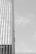Three individuals are suspended on ropes, cleaning or maintaining the glass facade of a tall building. The building features a vertical, grid-like design with numerous windows. The sky is clear, contributing to the stark contrast and emphasizing the height of the structure.