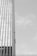 Three individuals are suspended on ropes, cleaning or maintaining the glass facade of a tall building. The building features a vertical, grid-like design with numerous windows. The sky is clear, contributing to the stark contrast and emphasizing the height of the structure.