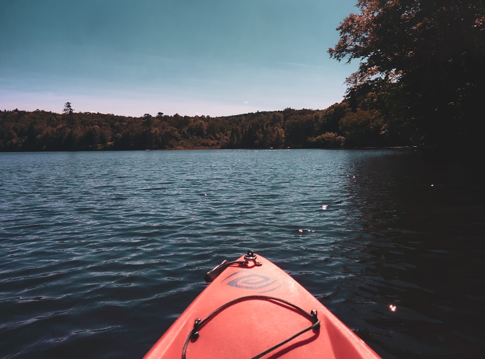 orange kayak on water near green trees during daytime