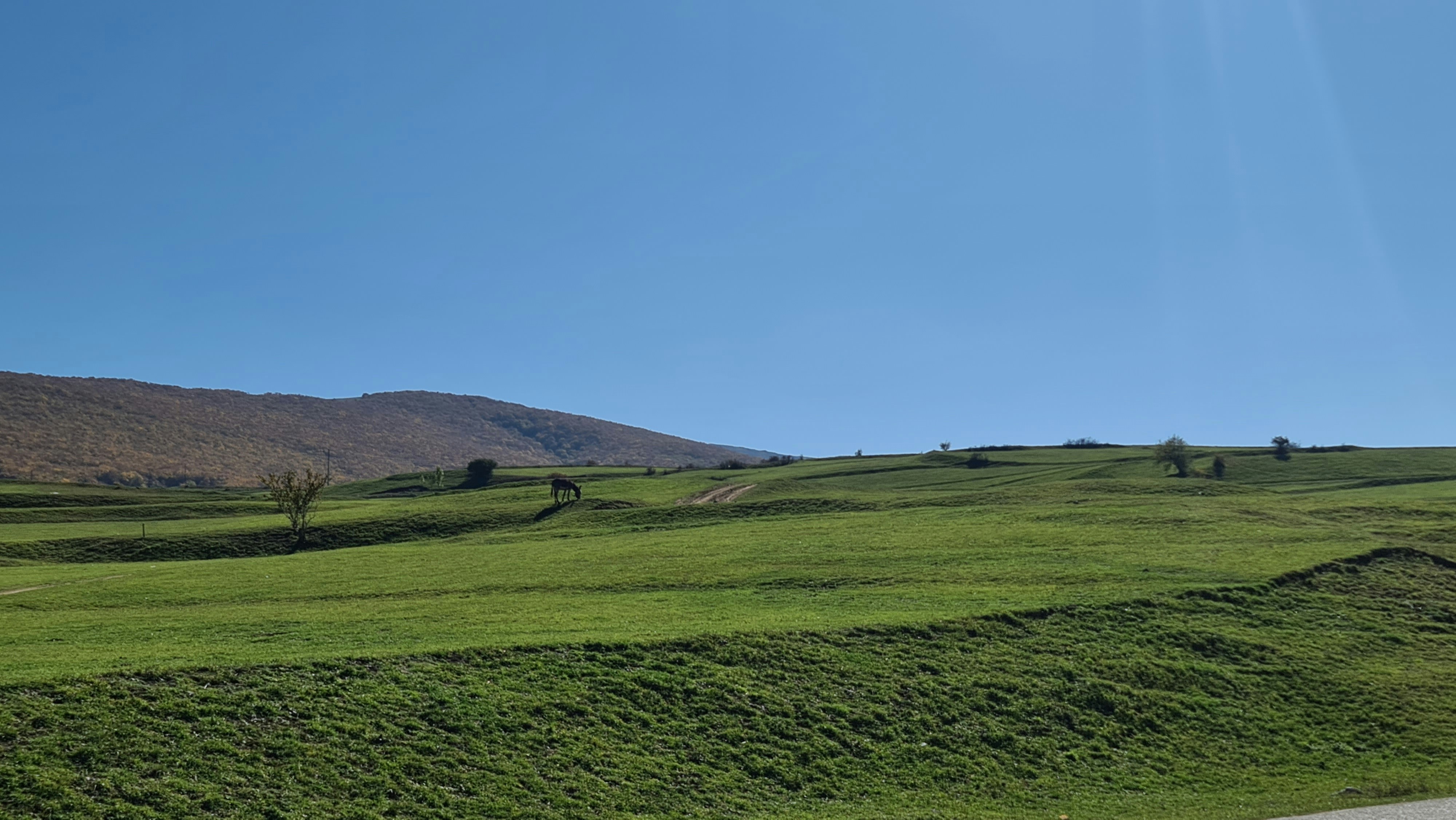 Photo by sahandmoradian