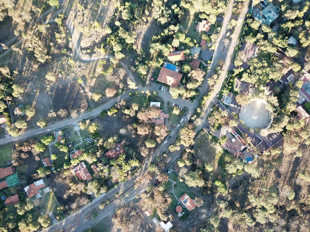 Luftaufnahme von grünen Bäumen und Häusern tagsüber