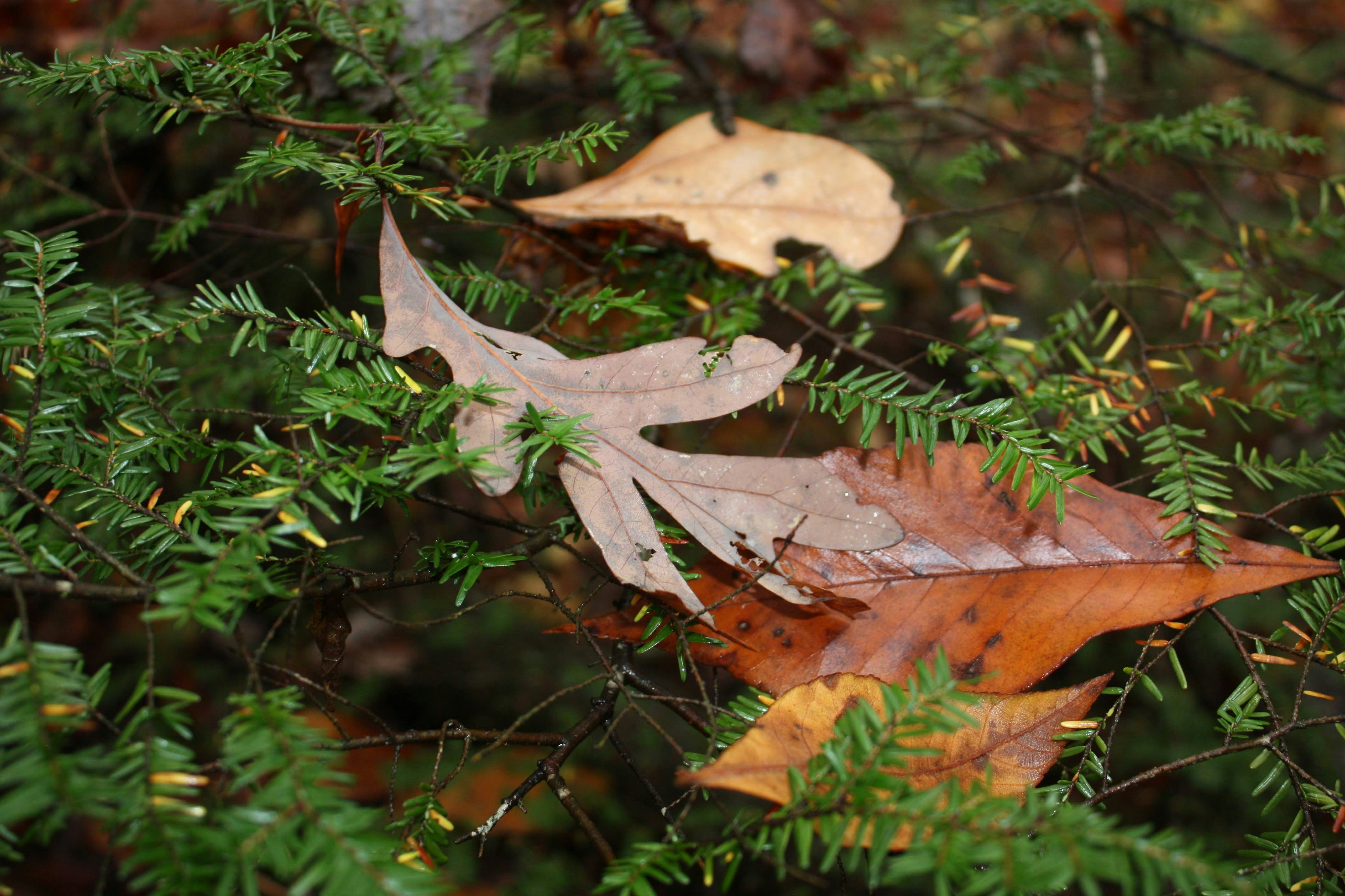 Photo by brice_cooper18