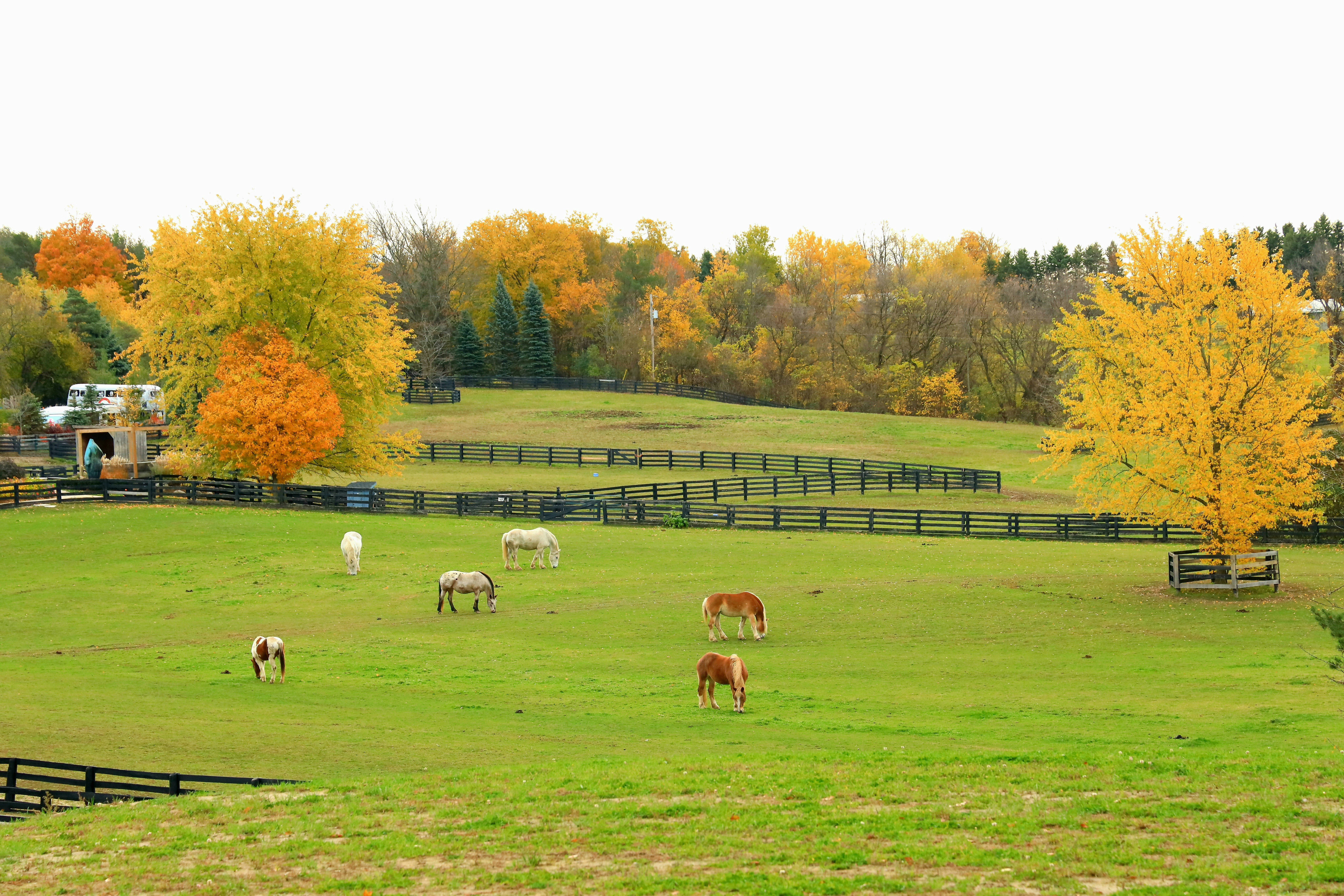 Embertelen körülmények között dolgoztattak vendégmunkásokat egy hollandiai farmon