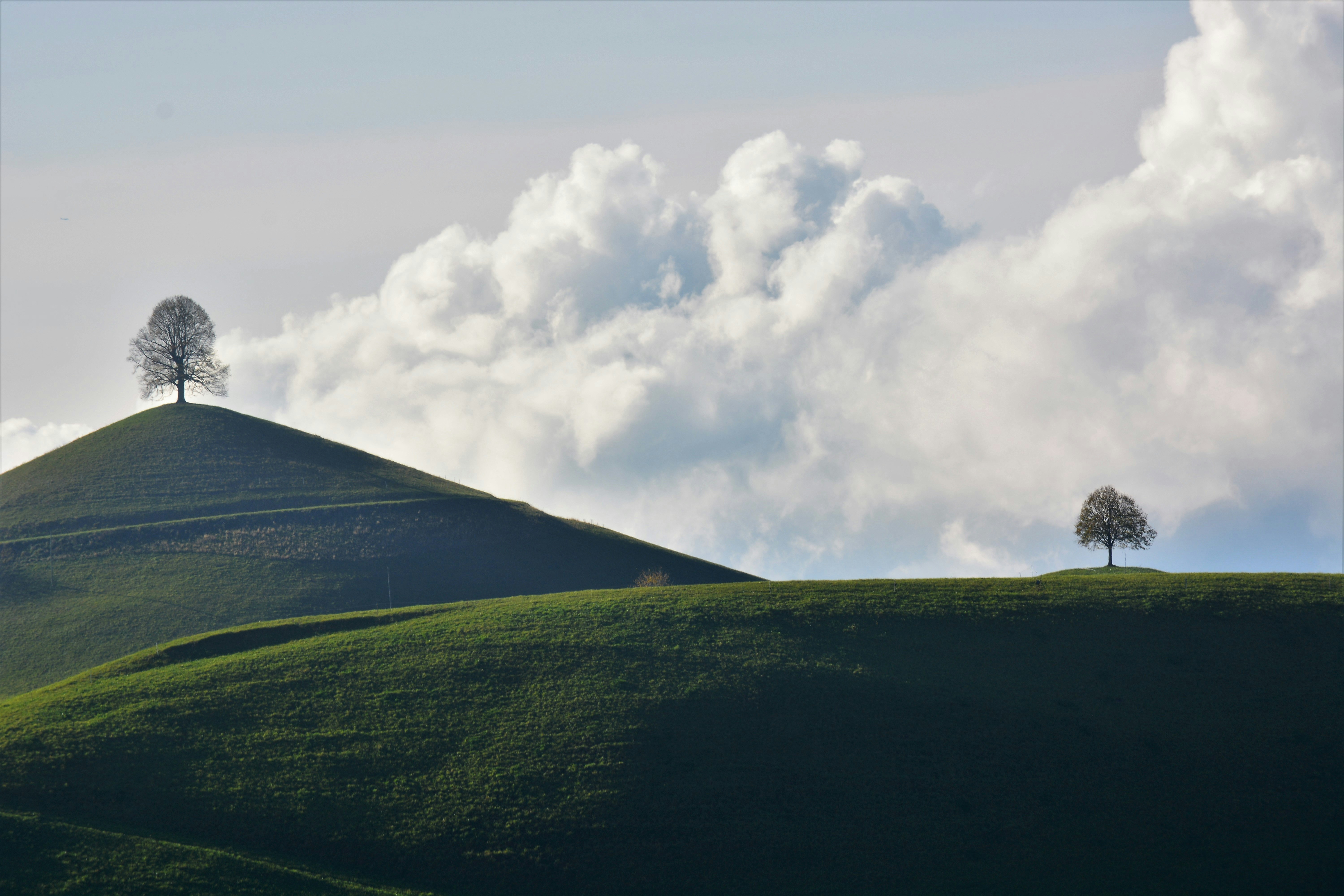 Photo by pedrino5_official