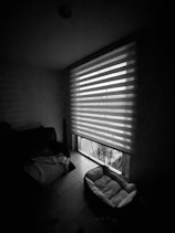 Softly lit cozy pet suite with plush bedding and a small window overlooking a garden.