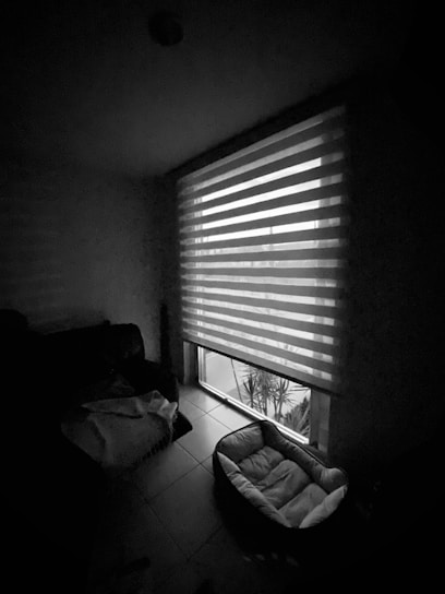 Softly lit cozy pet suite with plush bedding and a small window overlooking a garden.