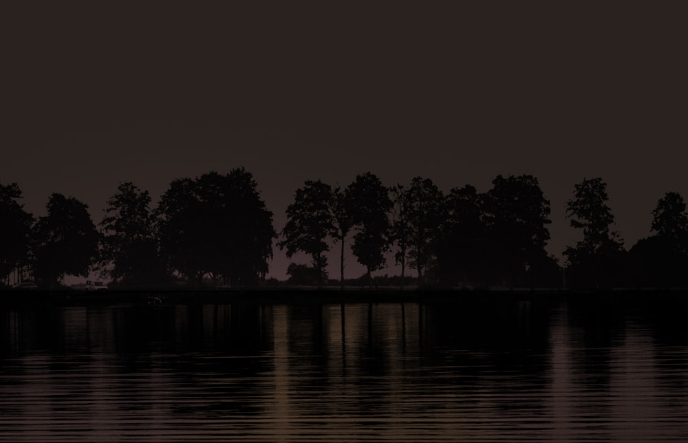 silhouette of trees near body of water during night time